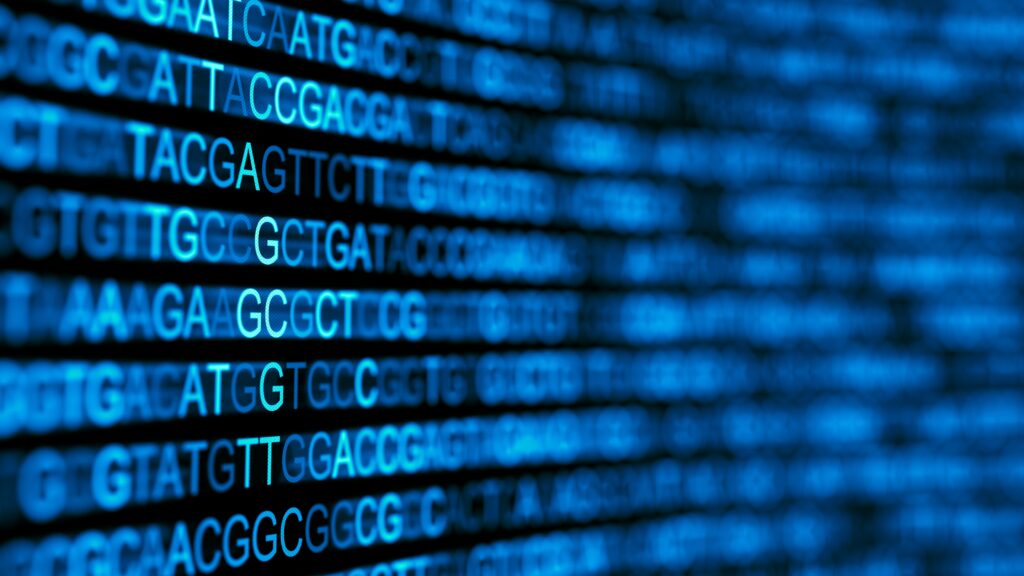 bioinformatica
