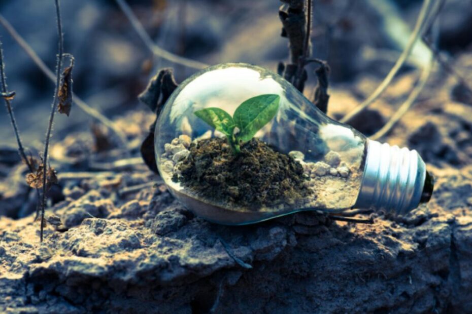 sustentabilidade
