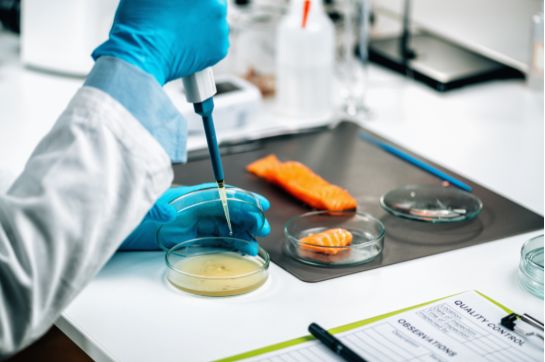 imagem_2026-01-20_153435783